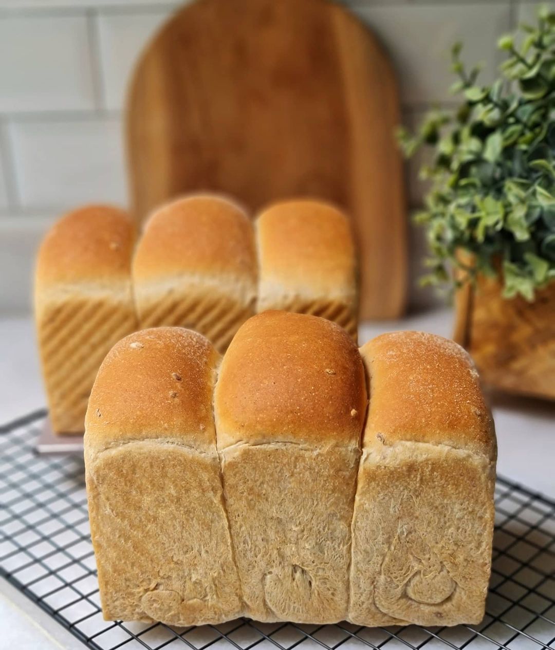 Resep Kraftkorn Vegan Bread